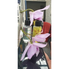 CHAI SỮA TẮM + CHAI DẦU GỘI