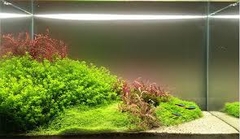 BƠM, NẠP, SẠC CÁC LOẠI BÌNH THỦY SINH TẠI HÀ NỘI