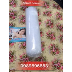 ruột gối ôm hat