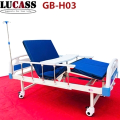 Giường bệnh nhân 2 tay quay Lucass GB-H03 có khoét lỗ bô vệ sinh