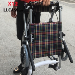 Xe đẩy cho người nhỏ nhẹ, trẻ em Lucass X12