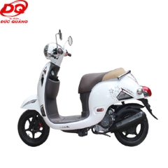 XE TAY GA GIORNO DETECH 50CC | Xe Đức Quảng Hải Phòng