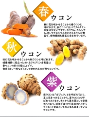 (HÀNG CHÍNH HÃNG) NGHỆ NƯỚC UKON KANEHIDE BIO NỘI ĐỊA NHẬT