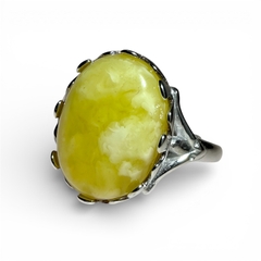 Butter Scotch Baltic Amber