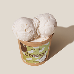 Kem Dừa / Gelato Coconut Scoop