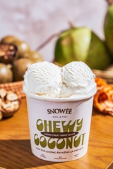 Gelato Coconut Sweetene / Kem Dừa Đường Ăn Kiêng