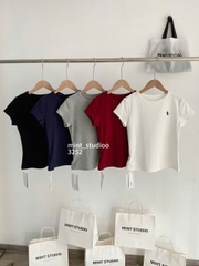 ÁO BABYTEE THÊU NGỰA WWGE MÃ 3252