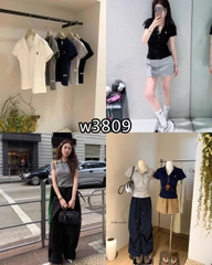 ÁO POLO THÊU NGỰA CÚC ÁNH NGỌC WWGE MÃ W3809