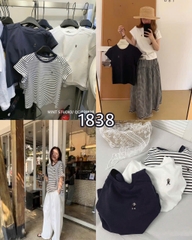 ÁO PULL CỘC RAGLAN THÊU CÚN MÃ 1838