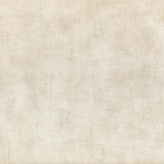 Gạch lát nền 600x600 LUA6011