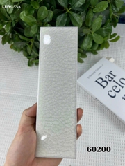 Gạch thẻ seri nhiều màu mặt bóng/phẳng/hiệu ứng rạn 2 lớp 60x200mm (8 màu)