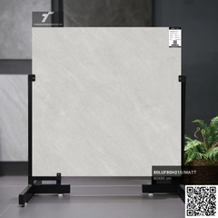 Gạch mờ Trung Quốc 80x80 80LU80H215