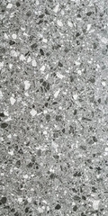 Gạch Terrazzo 600x1200 LU12651