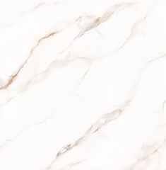 Gạch lát nền 1000X1000 100LU10A006