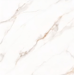 Gạch lát nền 1000X1000 100LU10A006