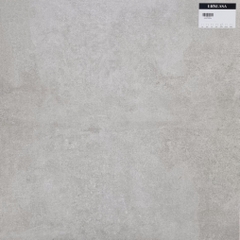 Gạch mờ 60x60 LUTB6005SS