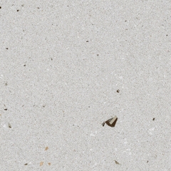 Gạch Terrazzo 60x60 LUTRL601