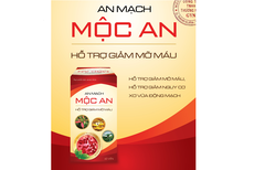 An Mạch Mộc An - giảm mỡ máu, giảm nguy cơ xơ vữa động mạch