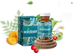 ECOCLEAN