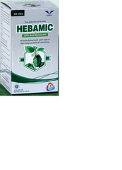 HEBAMIC