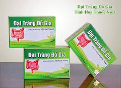 Đại Tràng Đỗ Gia