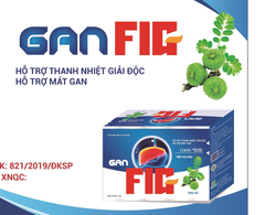 Gan Fig - Hỗ trợ thanh nhiệt giải độc gan