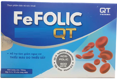 Fe Folic QT