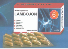 Lambojon