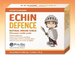 ECHIN DEFENCE