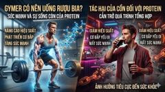 Gymer có nên uống rượu bia không? Tác hại của cồn đối với quá trình tổng hợp Protein