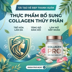 Collagen Protein