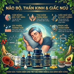 Não Bộ, Thần Kinh & Giấc Ngủ