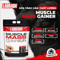 MUSCLE MASS GAINER - SỮA TĂNG CÂN CHẤT LƯỢNG (12 LBS)