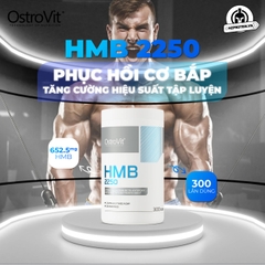 OSTROVIT HMB - VIÊN UỐNG HỖ TRỢ TỔNG HỢP PROTEIN