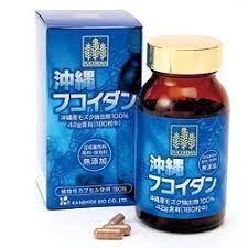 Thuốc ngăn ngừa điều trị ung thư của Nhật -tảo xanh Fucoidan