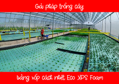 ECO AQUAPONIC - Xốp trồng rau thủy canh