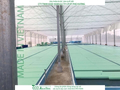 ECO AQUAPONIC - Xốp trồng rau thủy canh