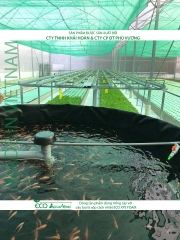 ECO AQUAPONIC - Xốp trồng rau thủy canh