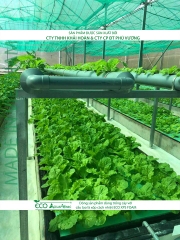 ECO AQUAPONIC - Xốp trồng rau thủy canh