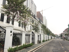 Cho thuê căn LKA10 Shophouse Embassy Garden KĐT Tây Hồ Tây