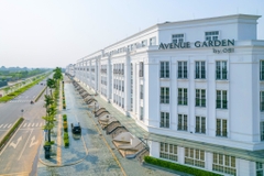 Cần giao dịch biệt thự, shophouse Avenue Garden – thông tin các căn đang cần giao dịch