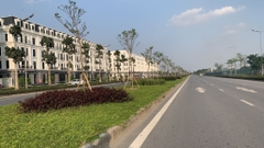 Cho thuê shophouse Avenue Garden căn LK3-37