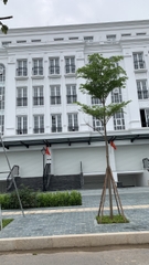 Cho thuê shophouse Avenue Garden căn LK3-31
