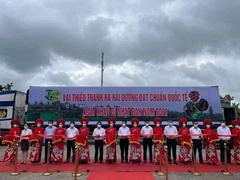 Vải Thanh Hà u hồng, u thâm