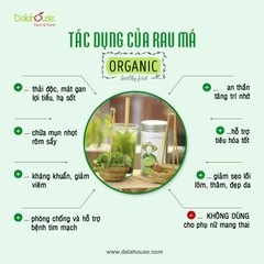 Bột Rau Má 60g
