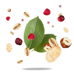 Ngũ Cốc Giòn Muesli mix Berry  hữu cơ  Sottolestelle Organic Crunchy Muesli Mix Berries