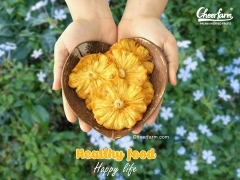 Dứa sấy tự nhiên không đường 100g