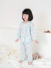 Bộ dài thỏ xám nền xanh