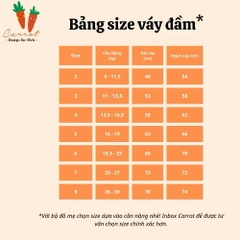 Váy 2d cánh tiên 3T hoa hồng nhí