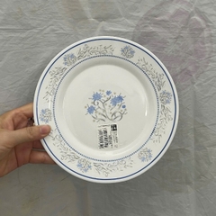 Đĩa thủy tinh tròn nhỏ Toledo Exotique 20 cm